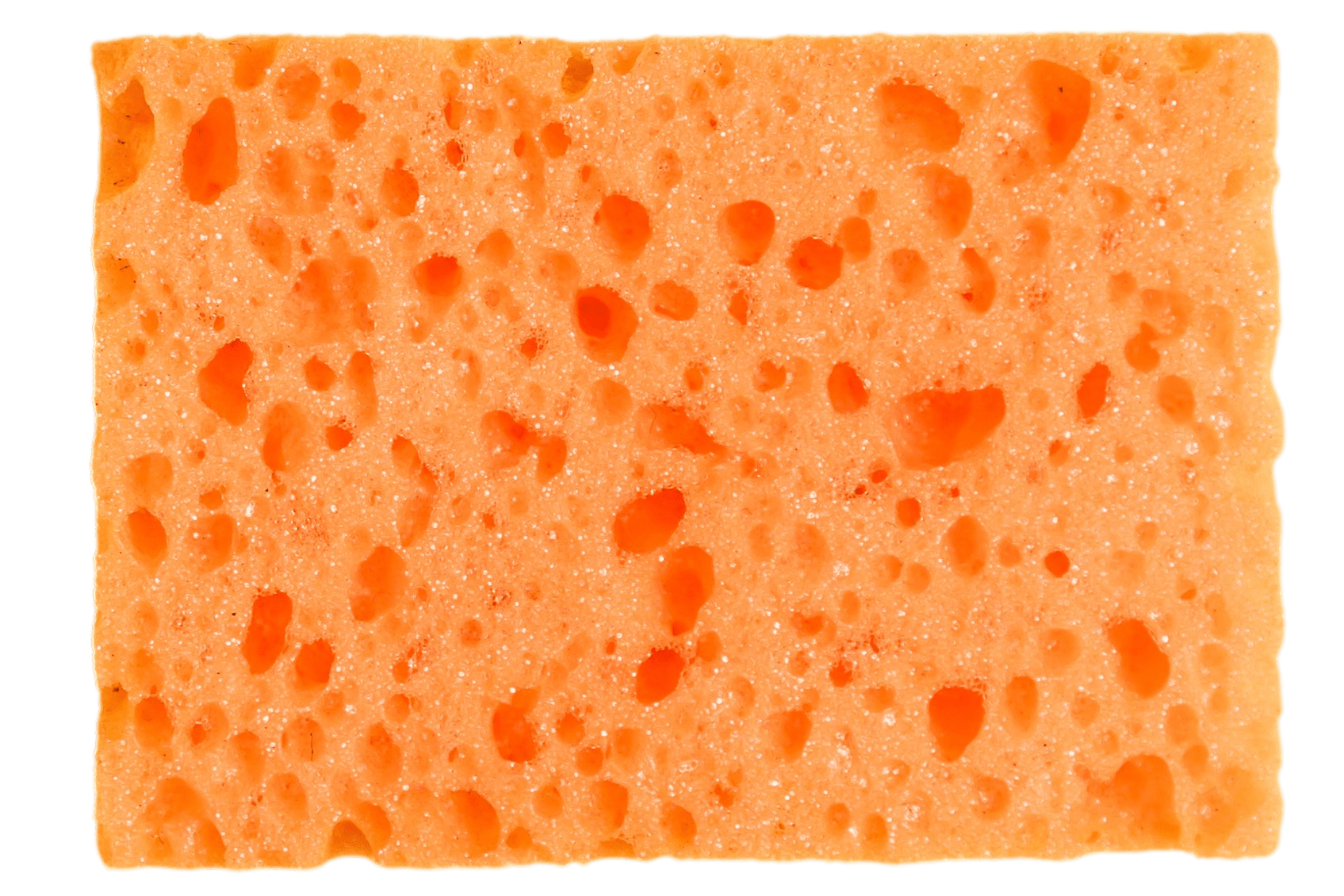 powermax bubble sponge orange